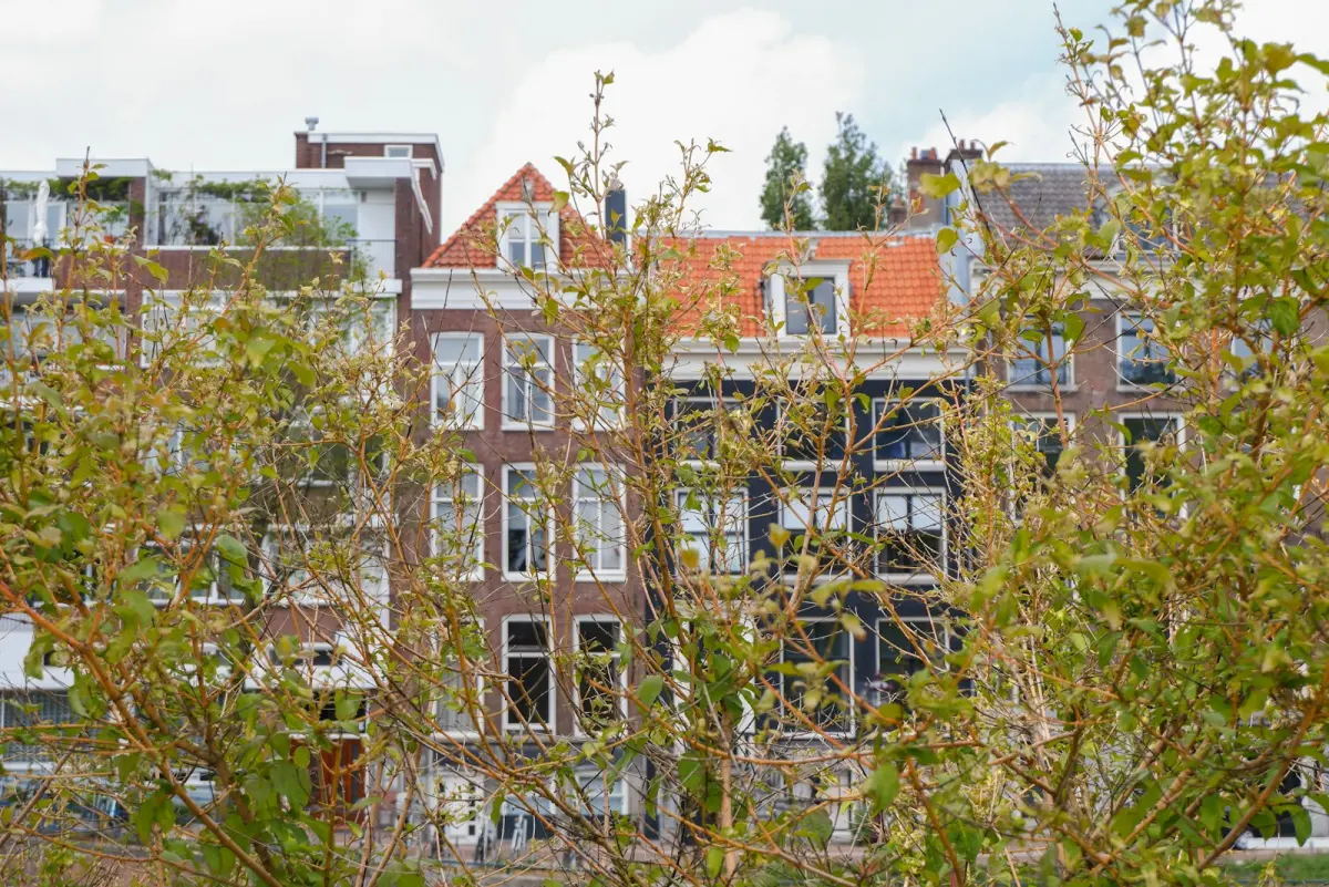 Zonnepanelen na brand wat te doen: stap-voor-stap gids